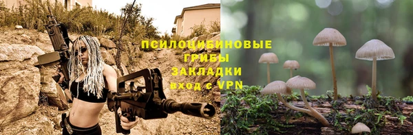 мдпв Балабаново