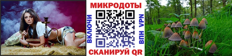Галлюциногенные грибы Psilocybe Камешково