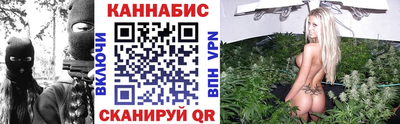 Бошки Шишки White Widow дарнет шоп Камешково